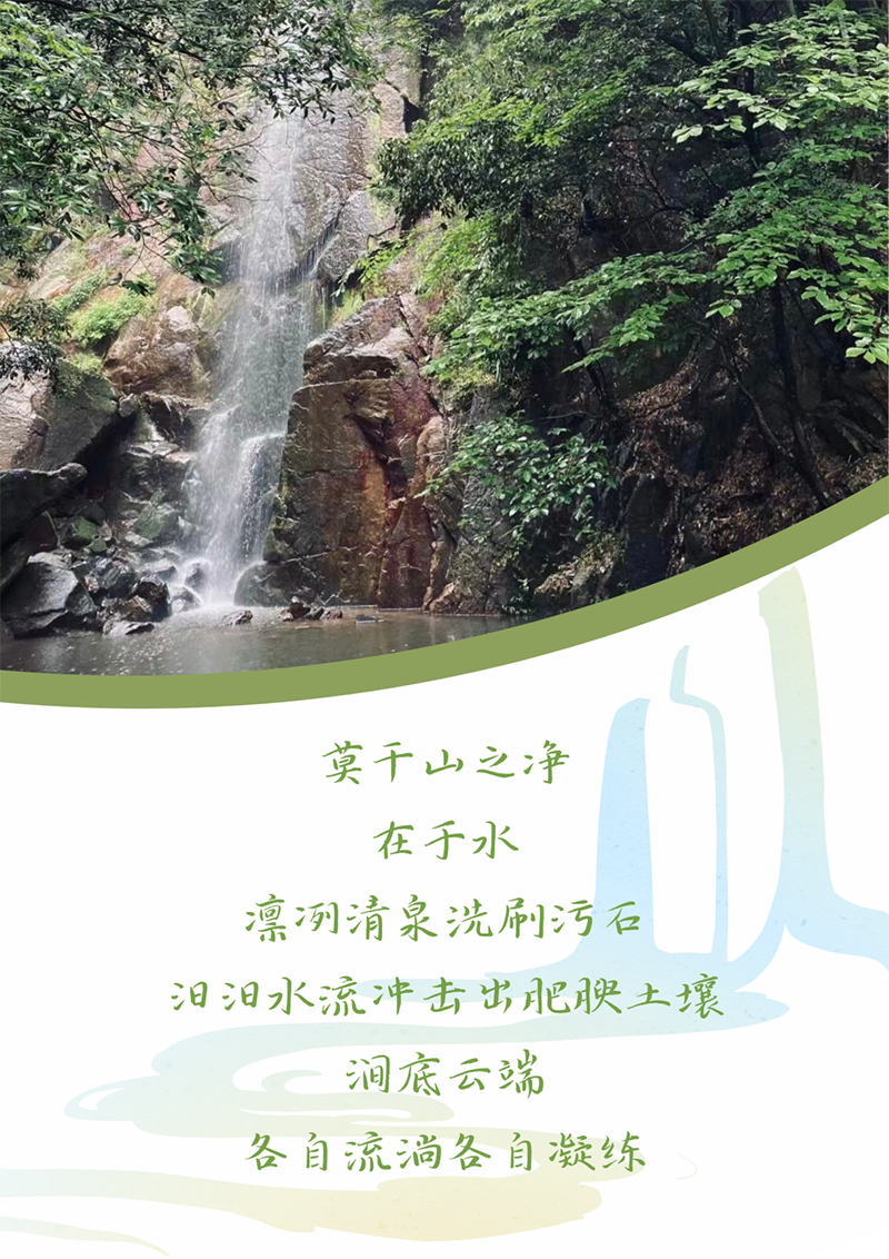 心心念廿 相伴豪门国际 | 与德清相约 贺廿载诞辰